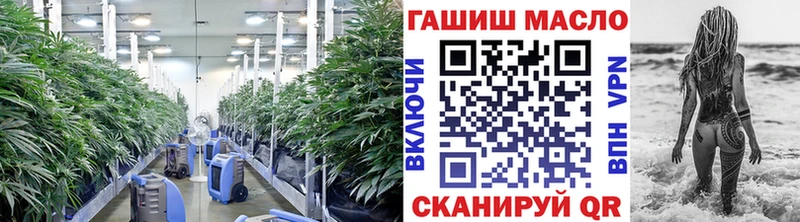KRAKEN маркетплейс  Горно-Алтайск  ТГК Wax 