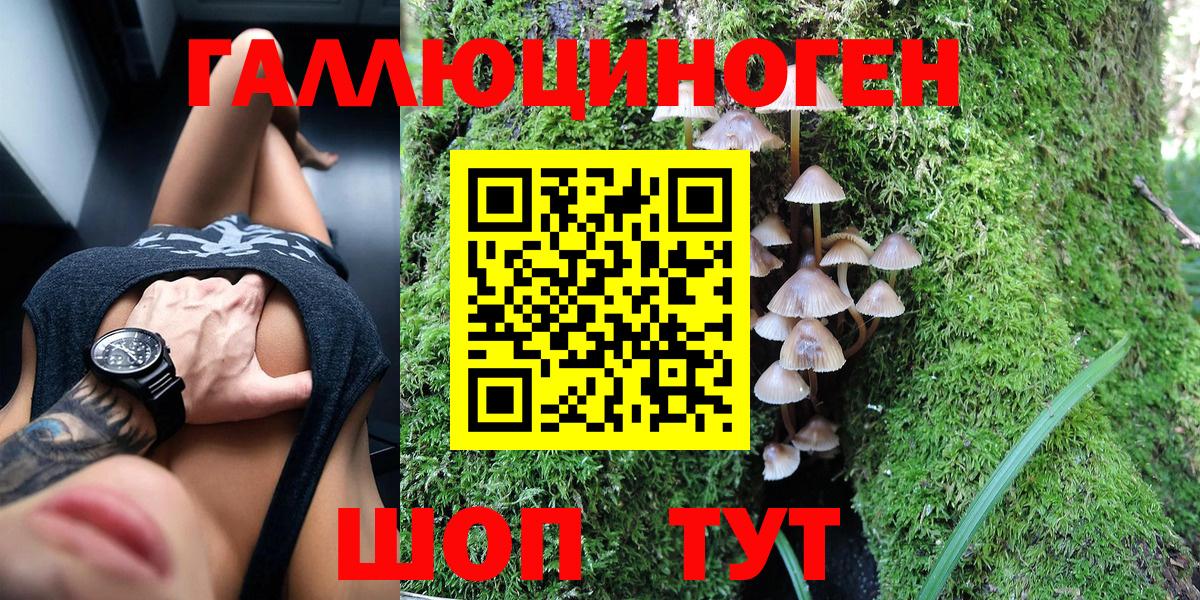 Галлюциногенные грибы GOLDEN TEACHER Горно-Алтайск