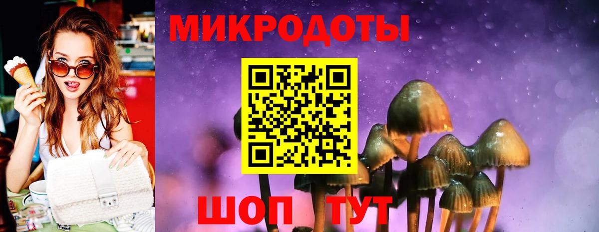 Галлюциногенные грибы Magic Shrooms  Вход с VPN  даркнет сайт  Горно-Алтайск 
