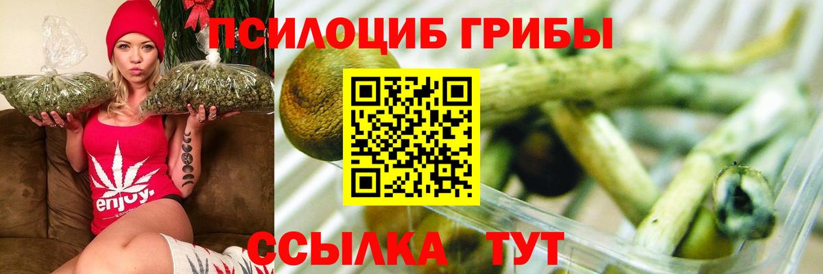 APVP Горно-Алтайск