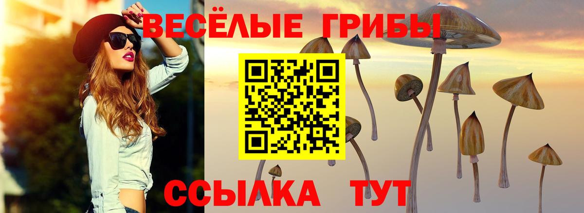 Галлюциногенные грибы мухоморы  Горно-Алтайск  Галлюциногенные грибы мицелий 
