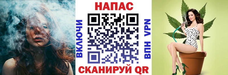 МАРИХУАНА сатива hydra онион Горно-Алтайск цены наркотик